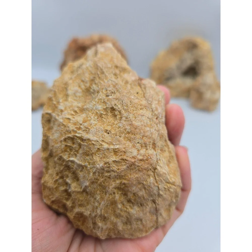 Natural Quartz Geode Crystal Lot‎ 6pc Tan White Good Raw Mineral Specimen